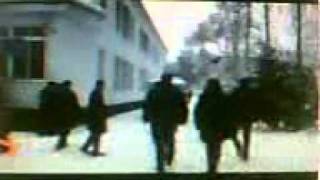 Фарзона Хуршед "Суди беасос"