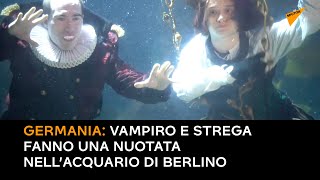 Germania: vampiro e strega fanno una nuotata nell’acquario di Berlino