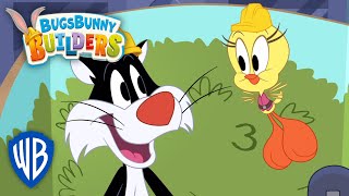 Bugs Bunny Builders ???????? | Un coup de peinture avec Titi et Sylvestre