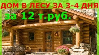 Каркасный дом для охотников в лесу, за 3-4 дня. Часть 1