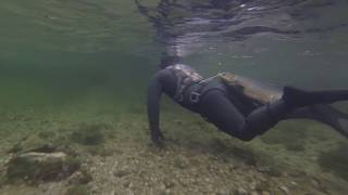Secret river. Spearfishing on Kola Peninsula. Подводная охота. Кольский полуостров.