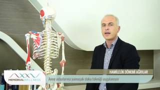 Hamilelik Dönemi Ağrılar Ne Zaman Başlar, Nasıl Önlenir? Dr. Metin Mutlu