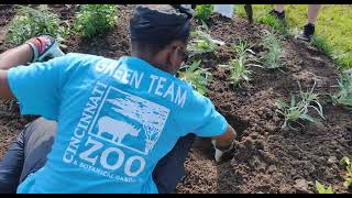 Cincinnati Zoo, MadTree Brewing, and Groundwork Ohio River Valley Team Up to Plant and Share