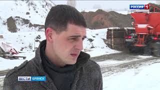В Брянске прошёл первый снегопад