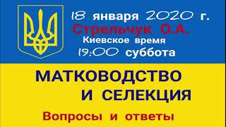 18.01.20 Стрельчук О.А (SOA) Матководство и селекция. Zello Пчеловодство Украины