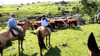 Soy campesino y Qué - Musica carranguera Colombiana