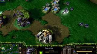 Warcraft III Frozen Throne Night Elf Strategy (Beginning)