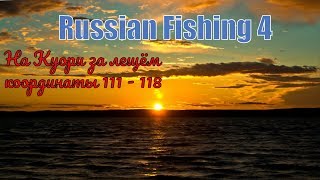 Russian Fishing 4  \ Где на Куори можно фармить на ЛЕЩЕ \ ТОЧКА 111 - 118 \  В 4 К