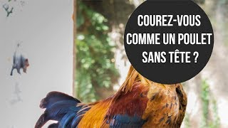 Courez-vous comme un poulet sans tête ? | VLOG 71