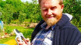 Николай Курдюмов. Советы садоводам - часть 2