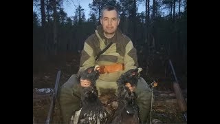 Охота на глухаря!!!
