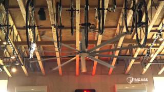 Big Ass Fans Helps Bicycle Shop Lower Energy Costs