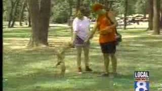 Two legged dog