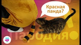 Лучшие ПРИКОЛЫ и МЕМЫ c Красной Пандой Пародия!