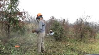 FS 130 and Airecut Tricut 300mm blade: WINNING