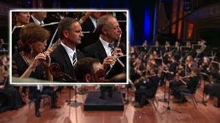 Stravinsky Firebird Suite (Flutes)