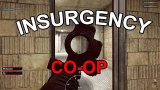 Insurgency: Sandstorm Hardcore Co-op gameplay