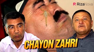 Qalpoq - Chayon zahri