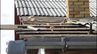 Меняем КРЫШУ на ДОМЕ Часть 1. Демонтаж