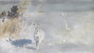 Охота на зайца 2017!На дальних рубежах!/Hunting the hare in 2017!Distant frontiers!