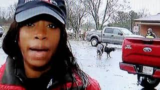 WAAY Reporter Photobombed By Dogs Mating