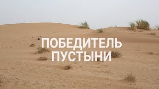Победитель пустыни