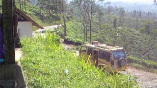 LINDA DIKEBUN ACD TARAJU 3