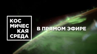 «Космическая среда» в прямом эфире!