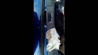 Парктроник электромагнитный на Nissan Almera g15
