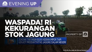Waspada! RI Kekurangan Stok Jagung