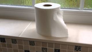 Toilet Roll Changing - Teenage Instructional Video #1