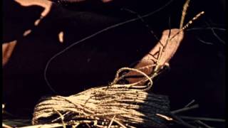 Dead Birds - PREVIEW