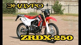 Мотоцикл skybike ZRDX 250, китайский эндуро.