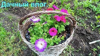 Дачный влог.