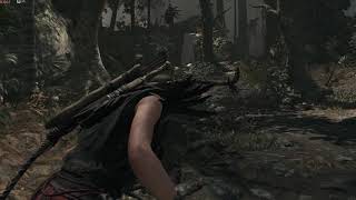 Shadow of the Tomb Raider v1 0 build 237 6 64 2019 01 18 14 29 49