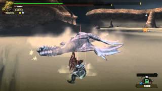 【MHF】HC クシャルダオラ テスト