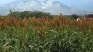 ranchos de penjamo