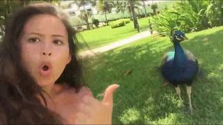 Когда что то пошло не так! Подборка НеУдАч! 8 When something went wrong!