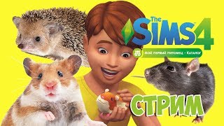 Симс 4 СТРИМ Мой первый питомец. ХОМЯКИ! С вебкой .