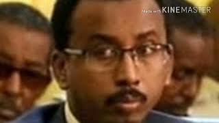 DAAWO, Taliye Ku Xigeenkii Hore Ee NISA Oo Afka Furtay Kana Hadlay Sababtii Xilka Looga Qaaday