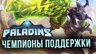 Курс молодого Паладина VI: Чемпионы поддержки