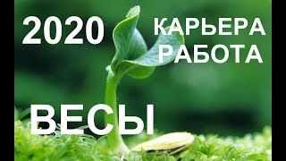 ♎ВЕСЫ. КАРЬЕРА. РАБОТА. ПРОГНОЗ НА 2020 ГОД. ТАРО-ПРОГНОЗ.