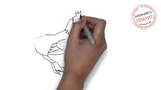 Как нарисовать курицу карандашом