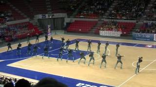 CPA OLOT (Sobrevivir). XIV Campeonato España Patinaje Artístico. Grupos Show. Zaragoza 2015.