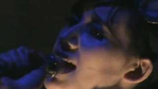 Karen O In Brooklyn