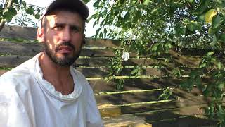 Внимание всем. Обработка пчел 3.08.2018