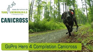 Canicross Zughundesport Bikejöring Training Laufhund Husky GoPro Hero 4 Compilation 2016