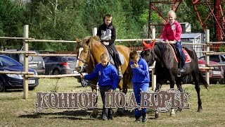 КОННОЕ ПОДВОРЬЕ. ДЕНЬ ЛОШАДИ. БРЯНСК