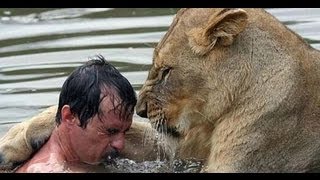 مات من الخوف اقوى معركه قاتله بين اسد و مصور