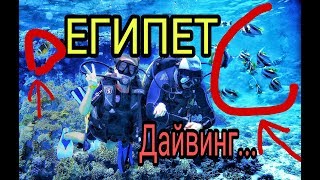 Дайвинг в ЕГИПТЕ 2k18 !!!СМОТРЕТЬ ВСЕМ